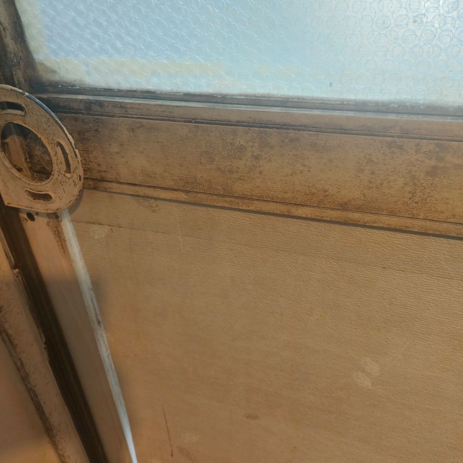 Recent activity shot of Shownu (MONSTA X)