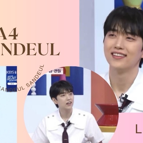 Recent activity shot of Sandeul (B1A4)
