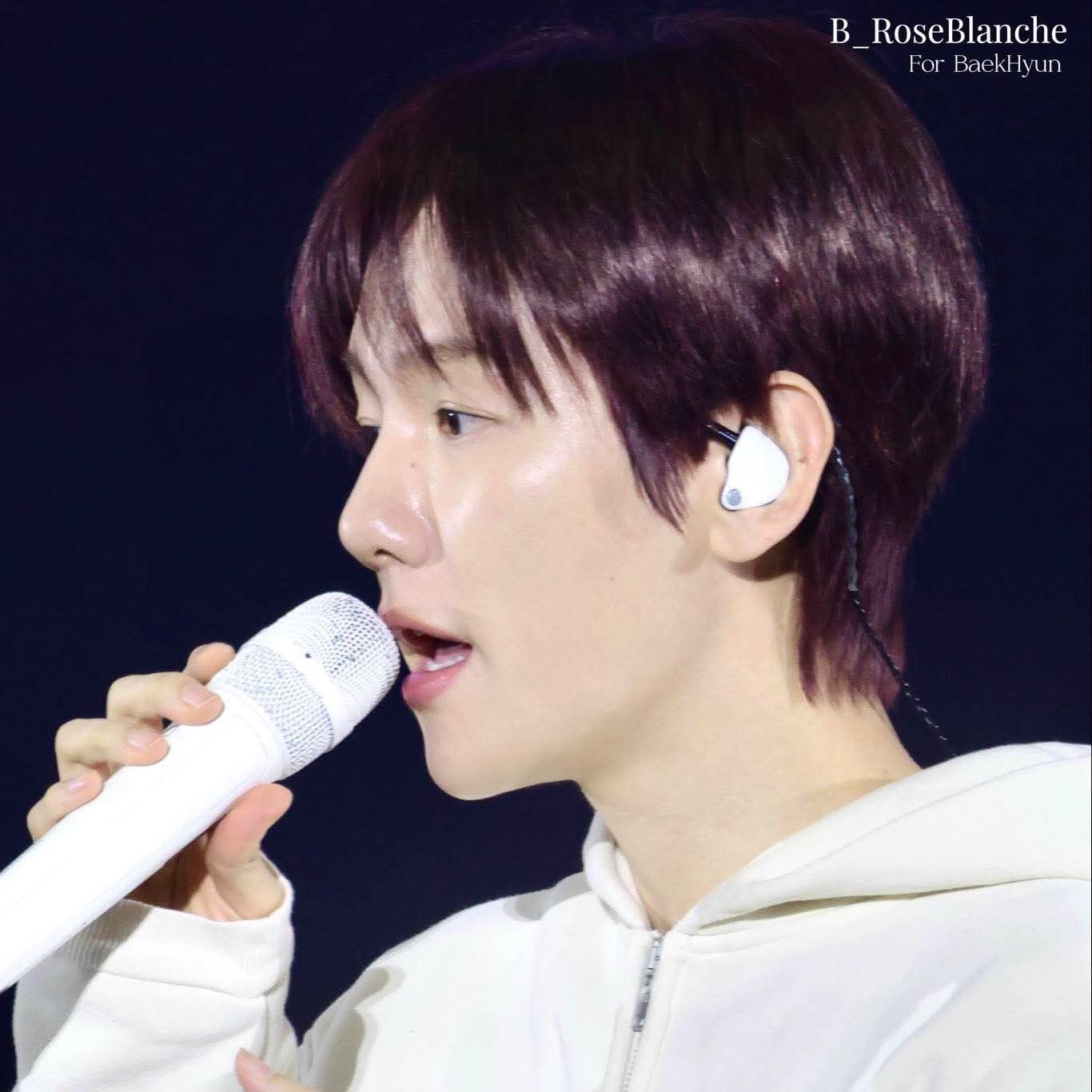 Potret di balik layar EXO