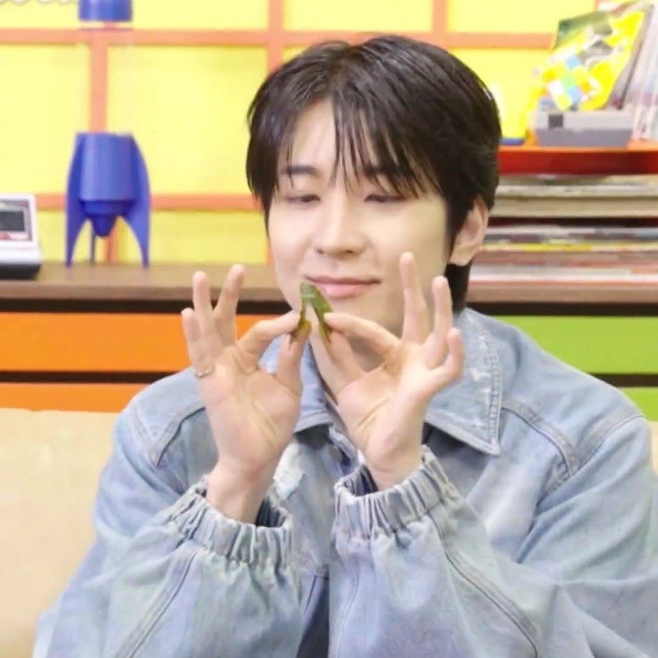 Recent activity shot of Wonwoo (SEVENTEEN)