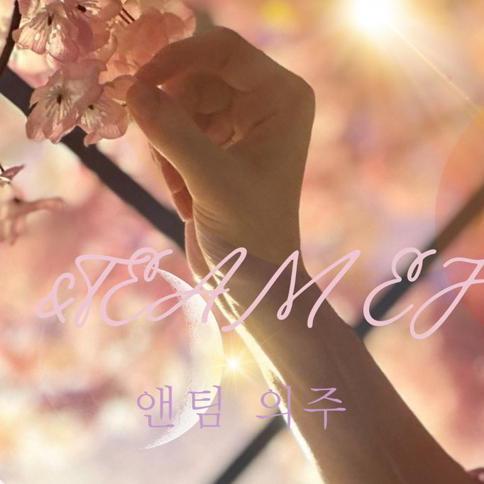 의주 (앤팀)의 최신 사진