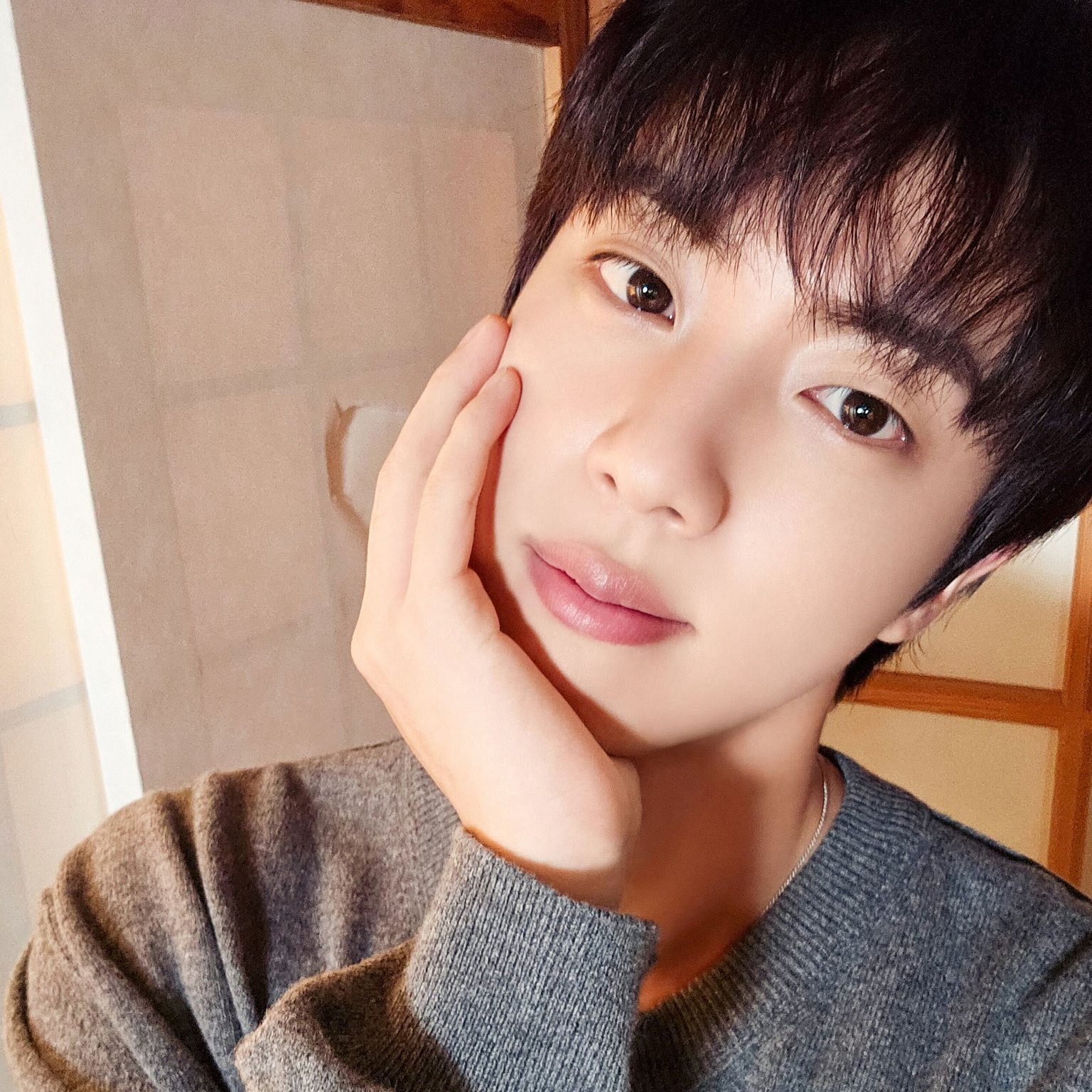 A moment captured by Jin (BTS)'s fan