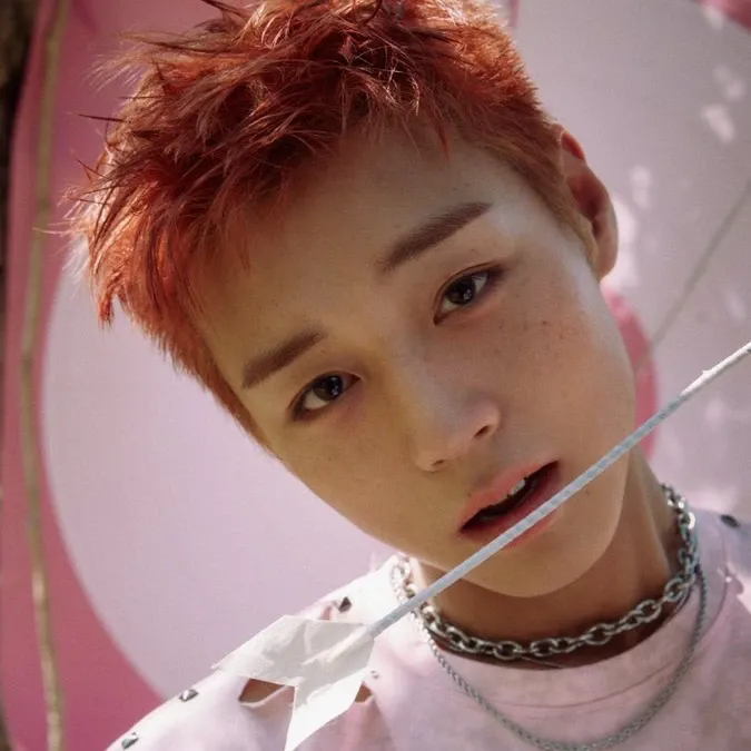 박지훈의 비하인드 컷