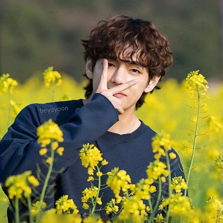 뷔 (방탄소년단)의 비하인드 컷