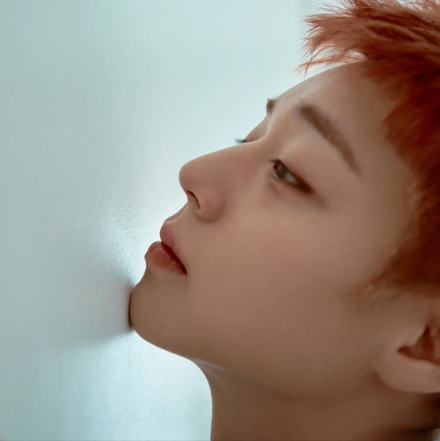 박지훈 팬이 찍은 순간