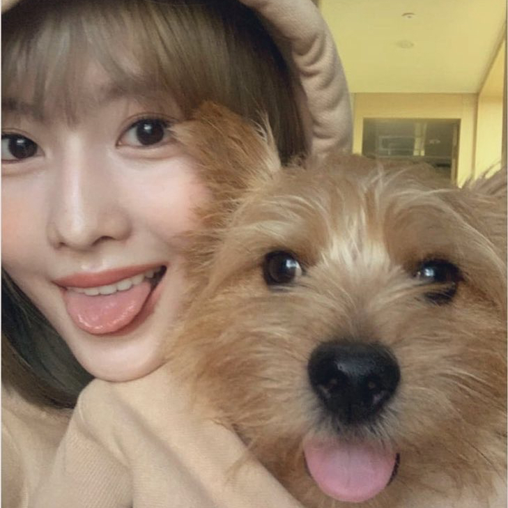 A moment captured by Momo (TWICE)'s fan