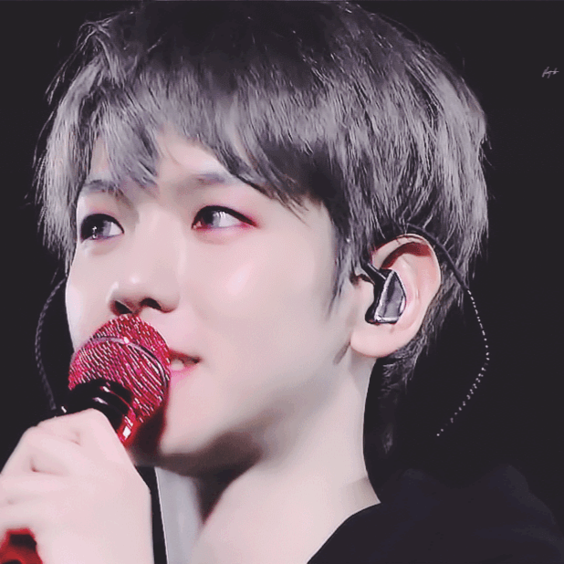 伯賢 (EXO)的最新活動照片