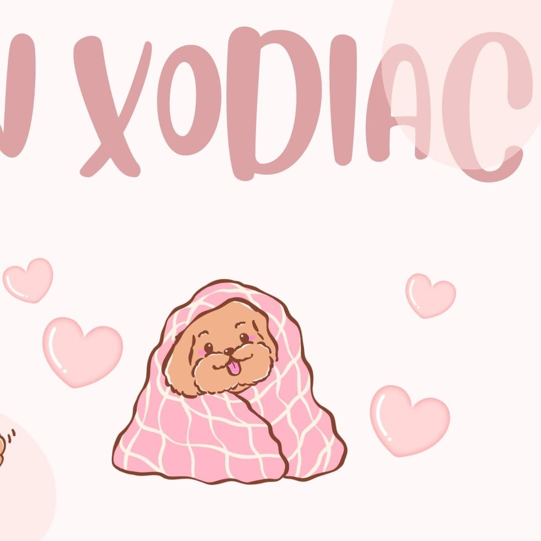 Behind-the-scenes cut of Gyumin (XODIAC)