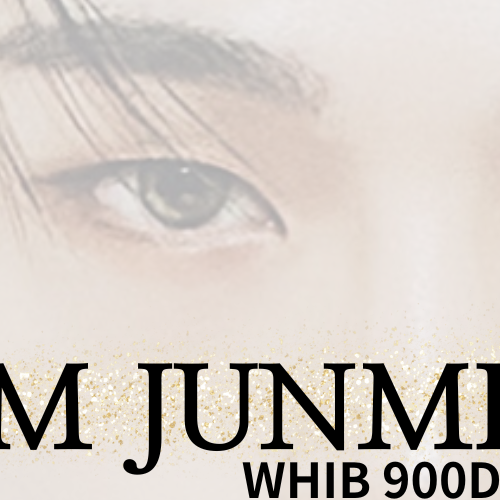 金俊民 (WHIB)的最新活动照片