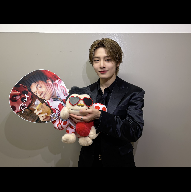 Stray Kids 팬이 찍은 순간