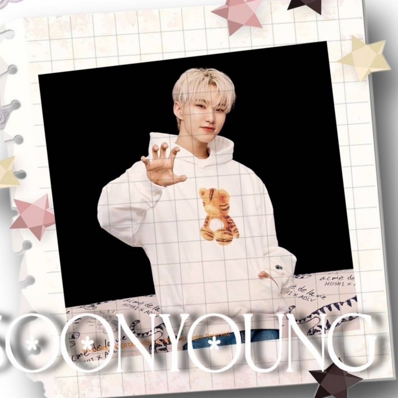 A moment captured by Hoshi (SEVENTEEN)'s fan