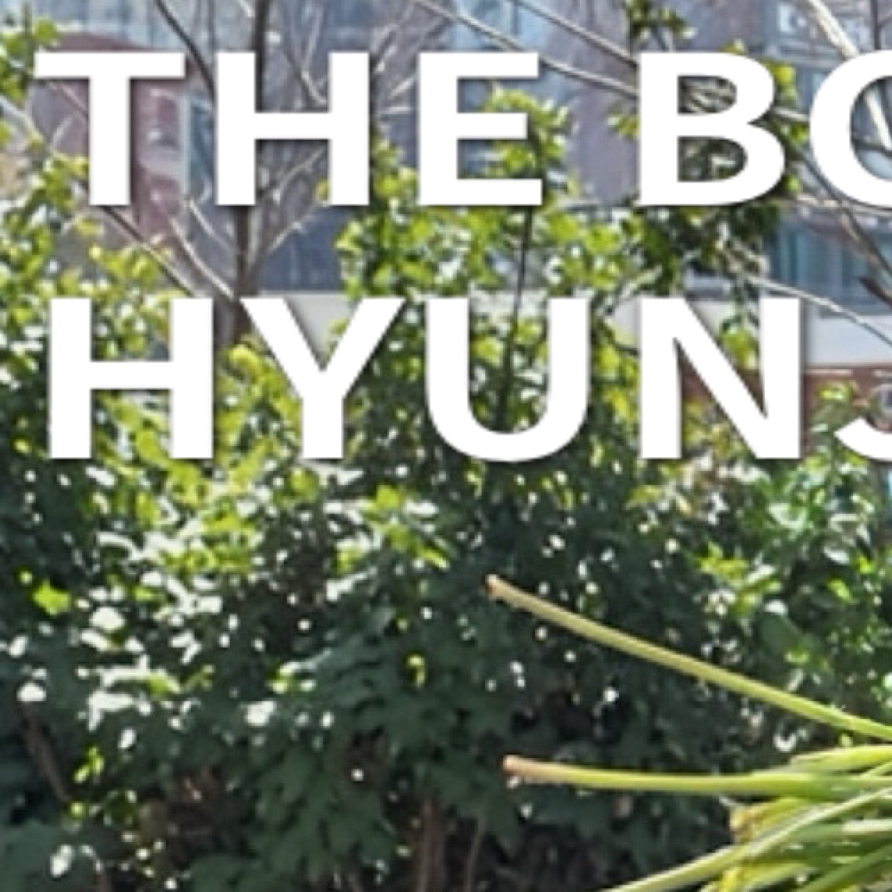 Latest photo of Hyunjae (THE BOYZ)