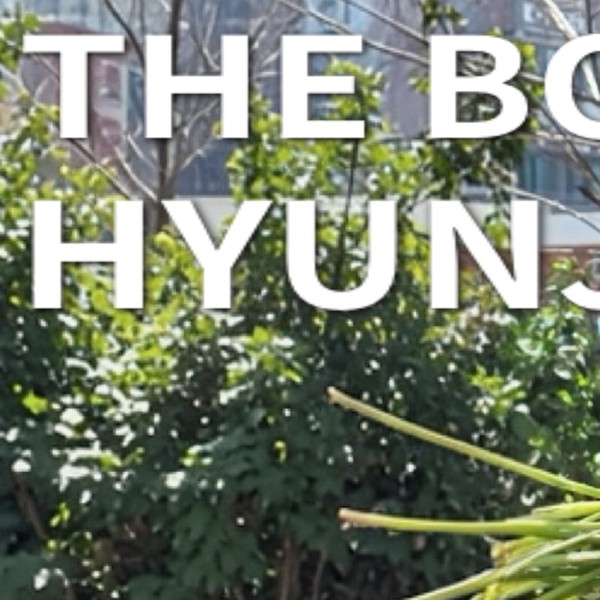 粉丝喜爱的贤在 (THE BOYZ)人气头像
