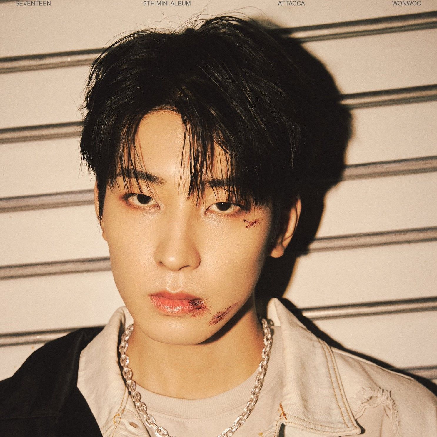 세븐틴 팬이 찍은 순간
