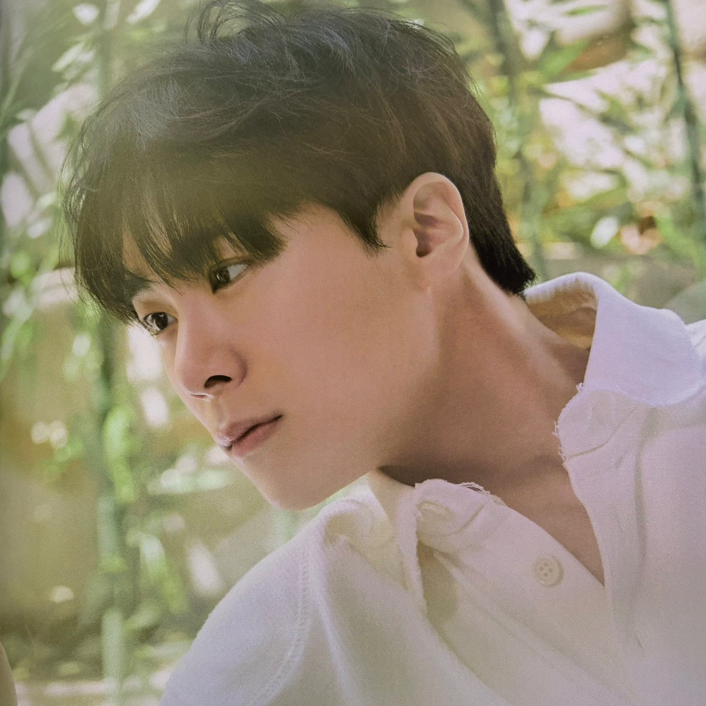 Recent activity shot of Moonbin (ASTRO)