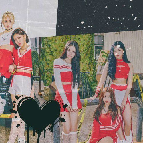 Lapillus的最新照片