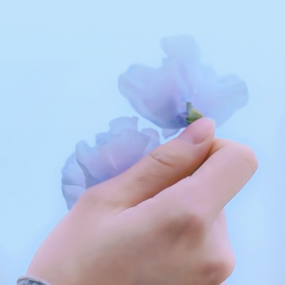 金在奐粉絲拍下的瞬間