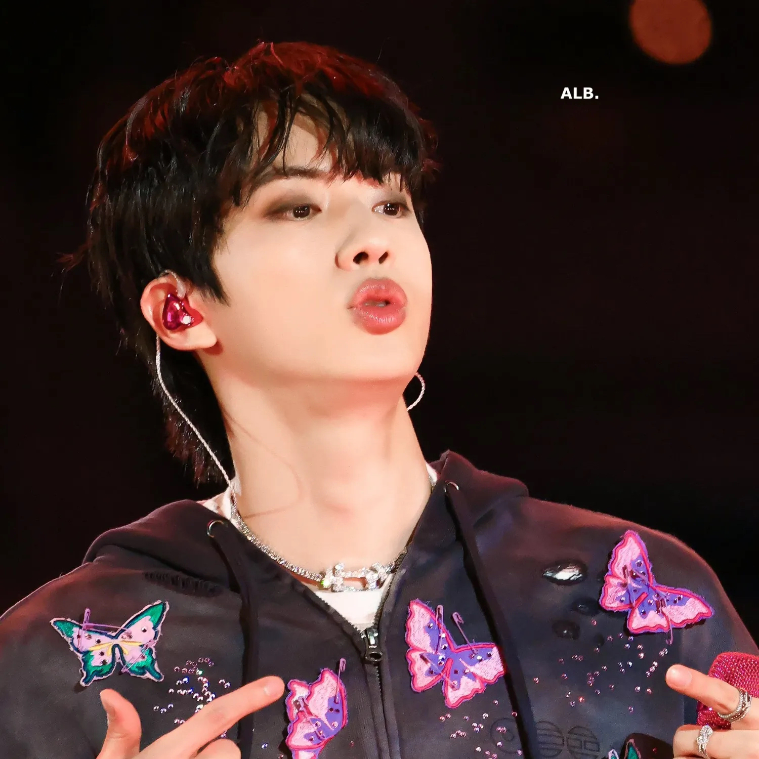 진 (방탄소년단) 팬이 찍은 순간