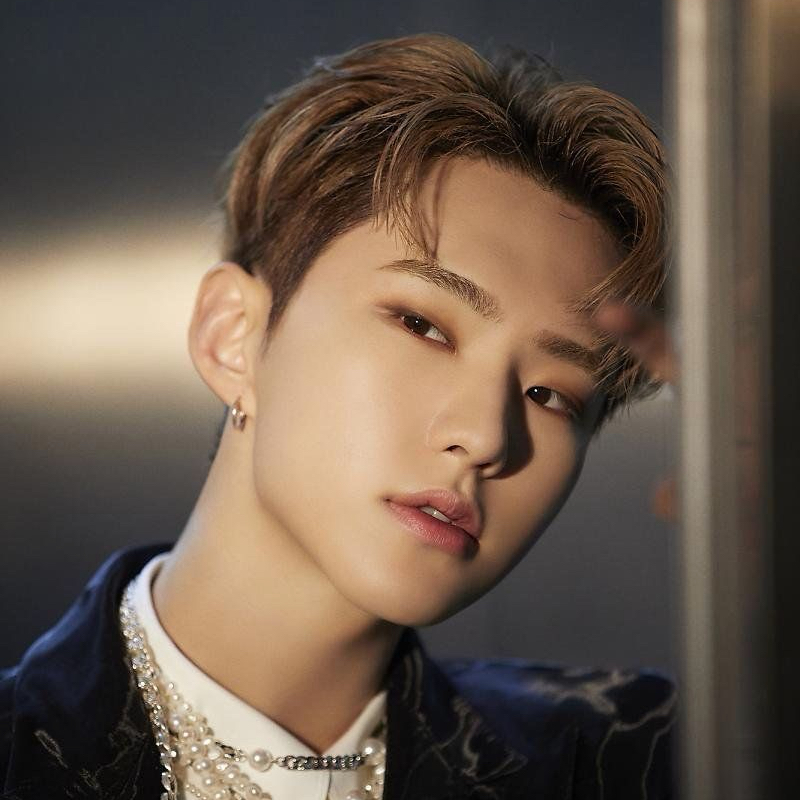 A moment captured by Hoshi (SEVENTEEN)'s fan