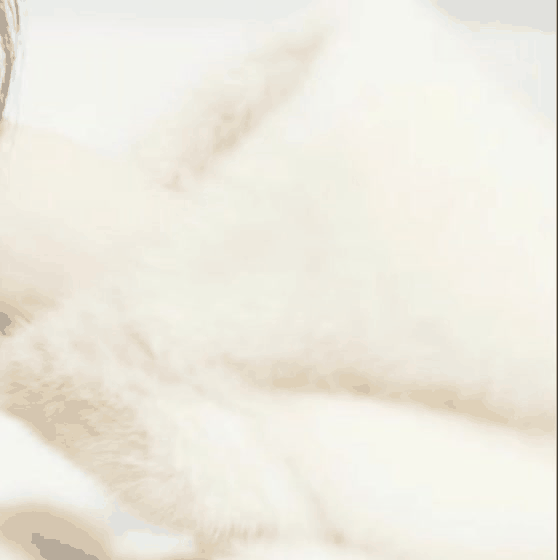 Latest photo of Jeno (NCT DREAM)