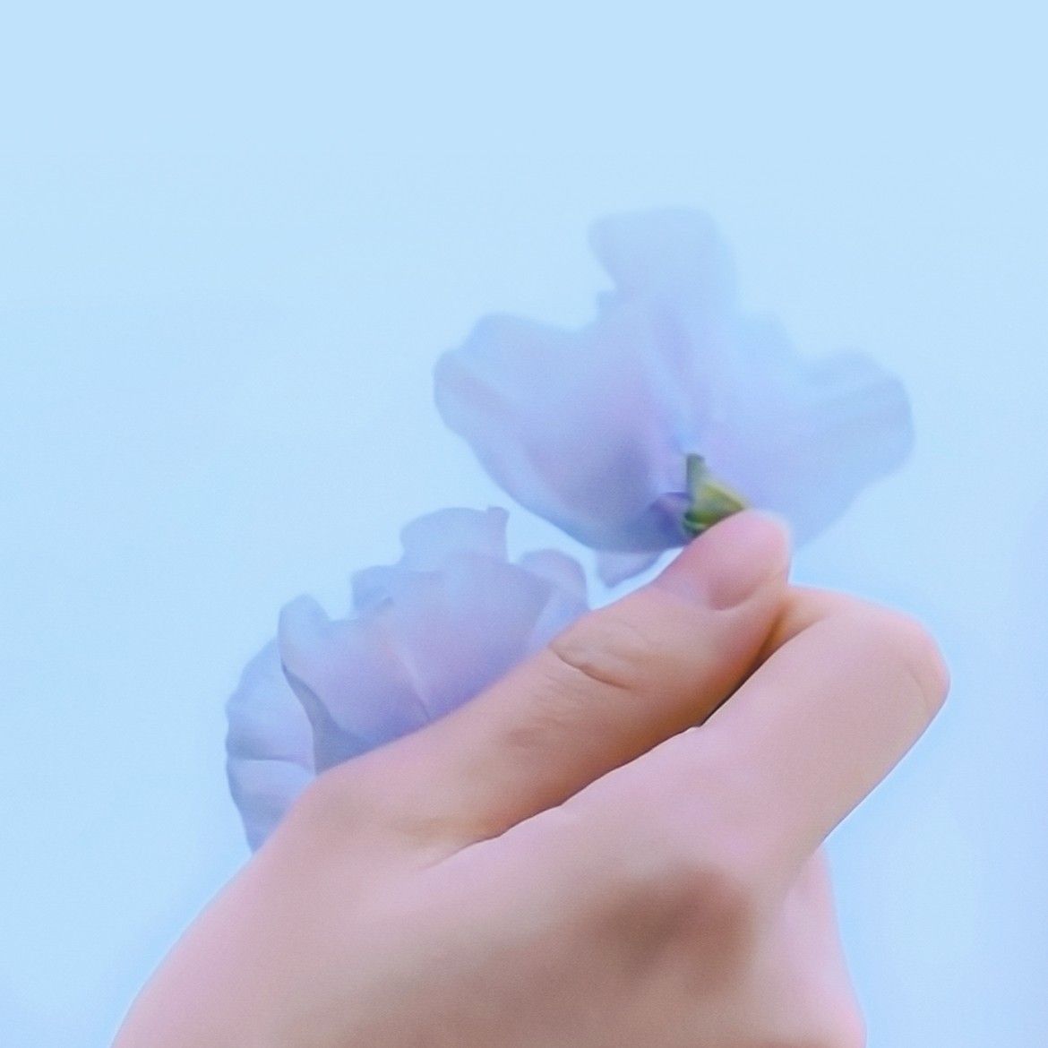 金在奐粉絲拍下的瞬間