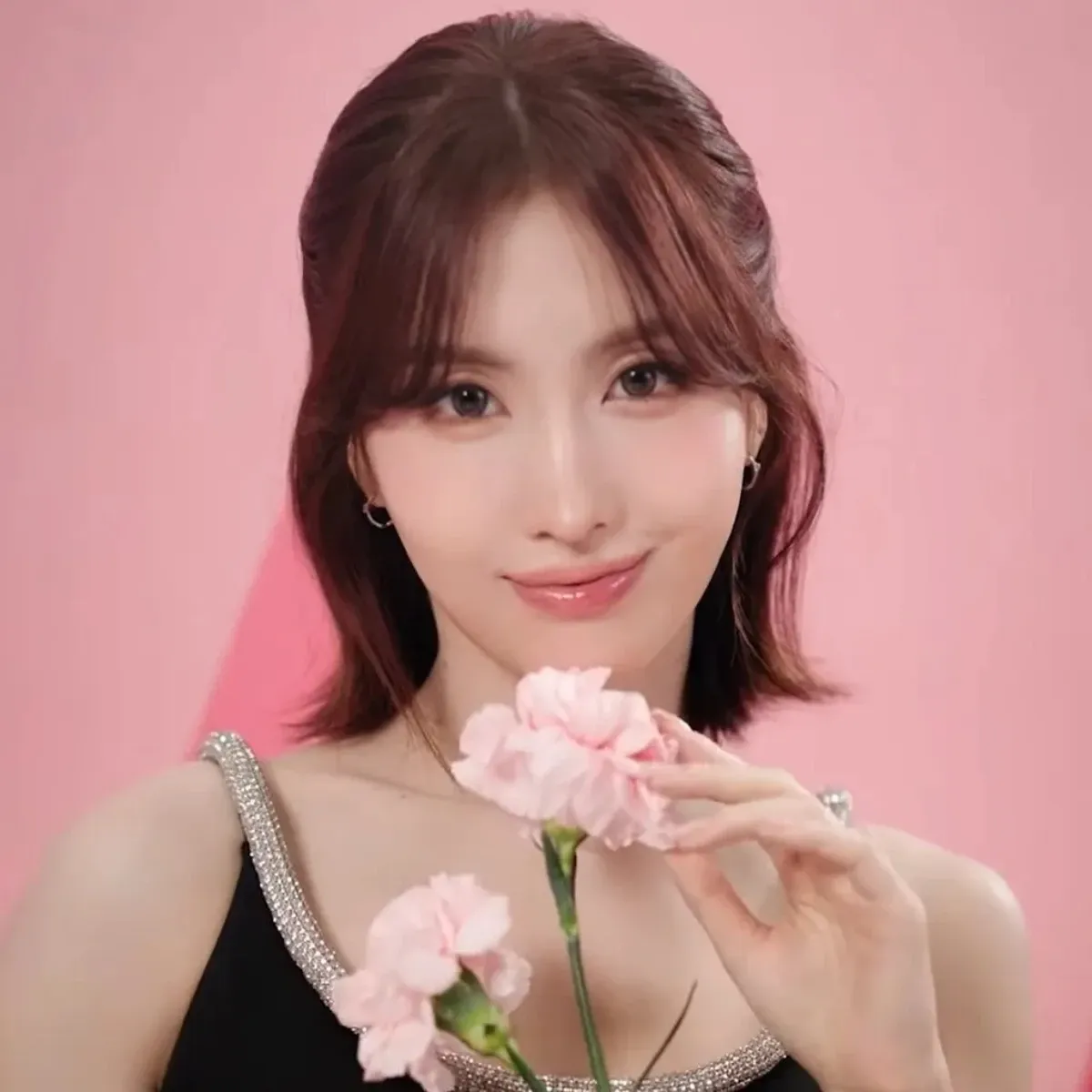 Latest photo of Momo (TWICE)