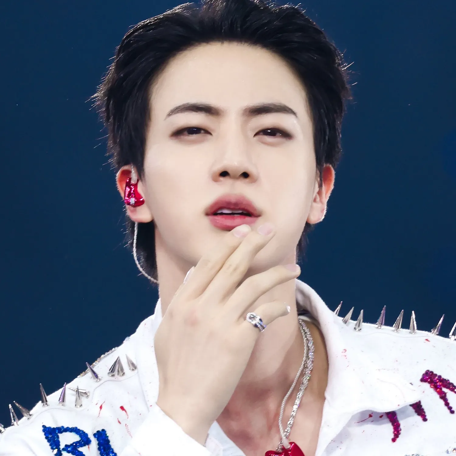 진 (방탄소년단) 팬이 찍은 순간