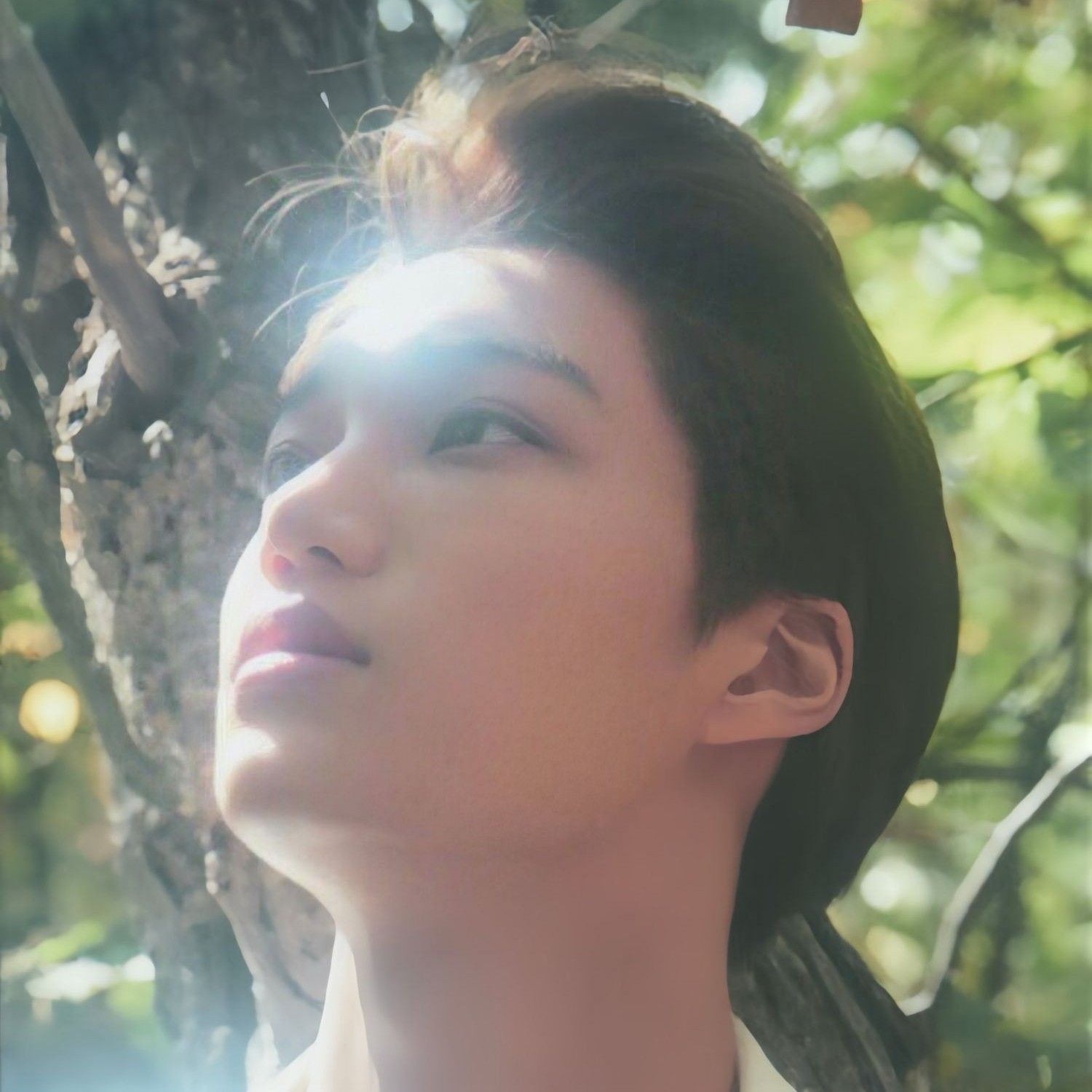 Kai (EXO)粉絲拍下的瞬間