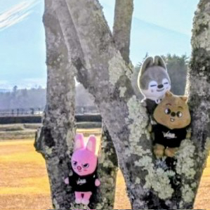 Stray Kids 팬이 찍은 순간