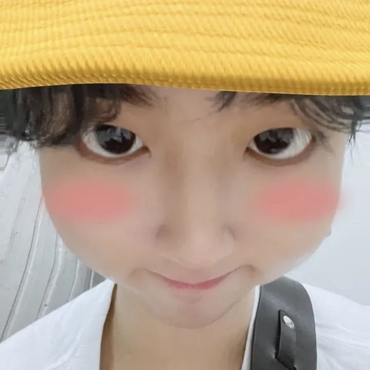 A moment captured by HAN (Stray Kids)'s fan