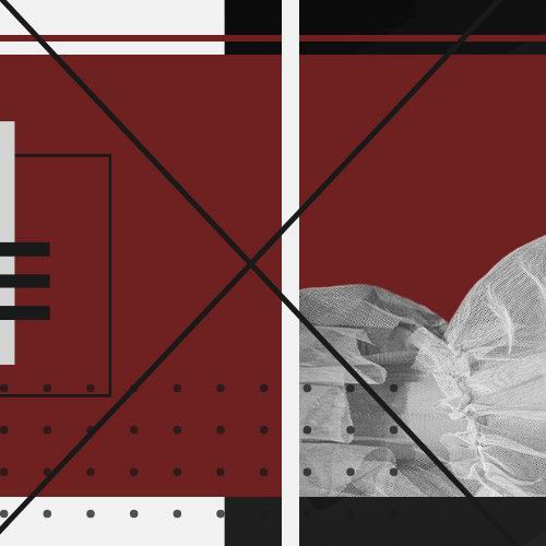 Recent activity shot of Bessie (Lapillus)