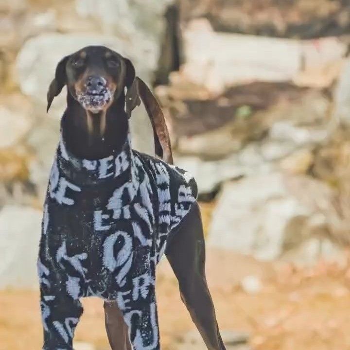 V (BTS)の最近の活動写真