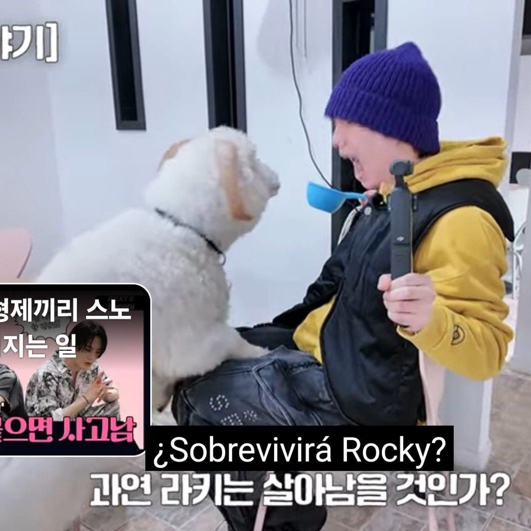 Rocky的最新活动照片