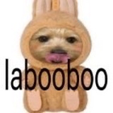 Recent activity shot of Momo (TWICE)