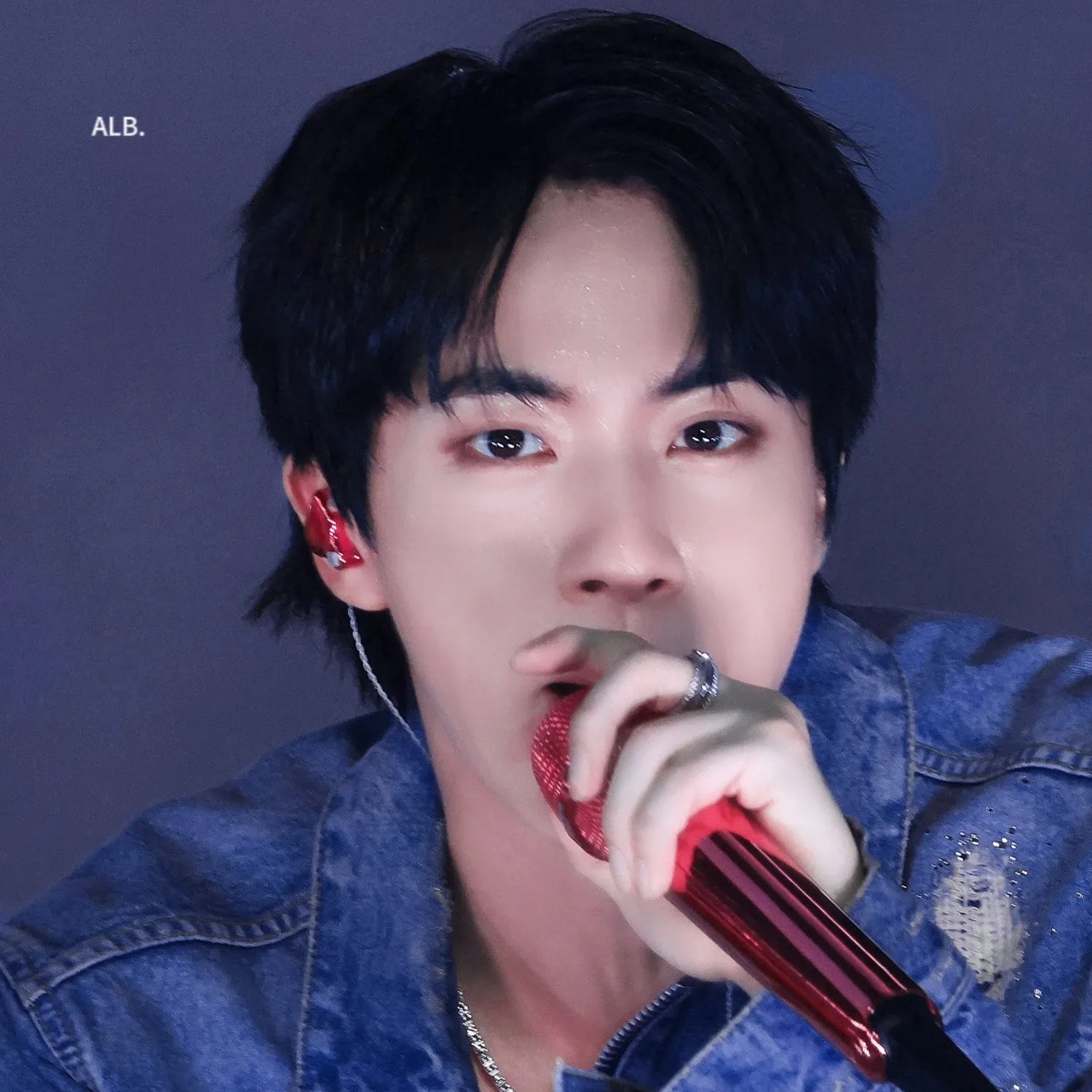 A moment captured by Jin (BTS)'s fan