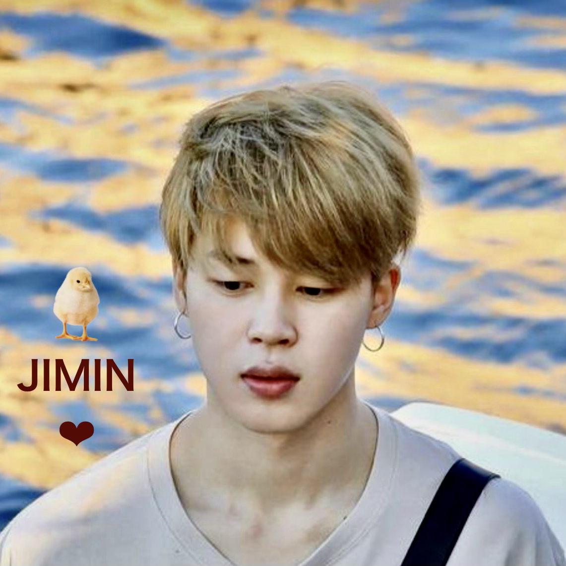 지민 (방탄소년단) 팬이 찍은 순간