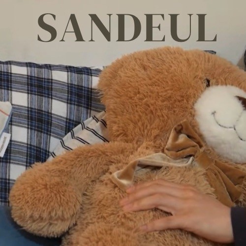 Popular profile picture of Sandeul (B1A4) loved by fans