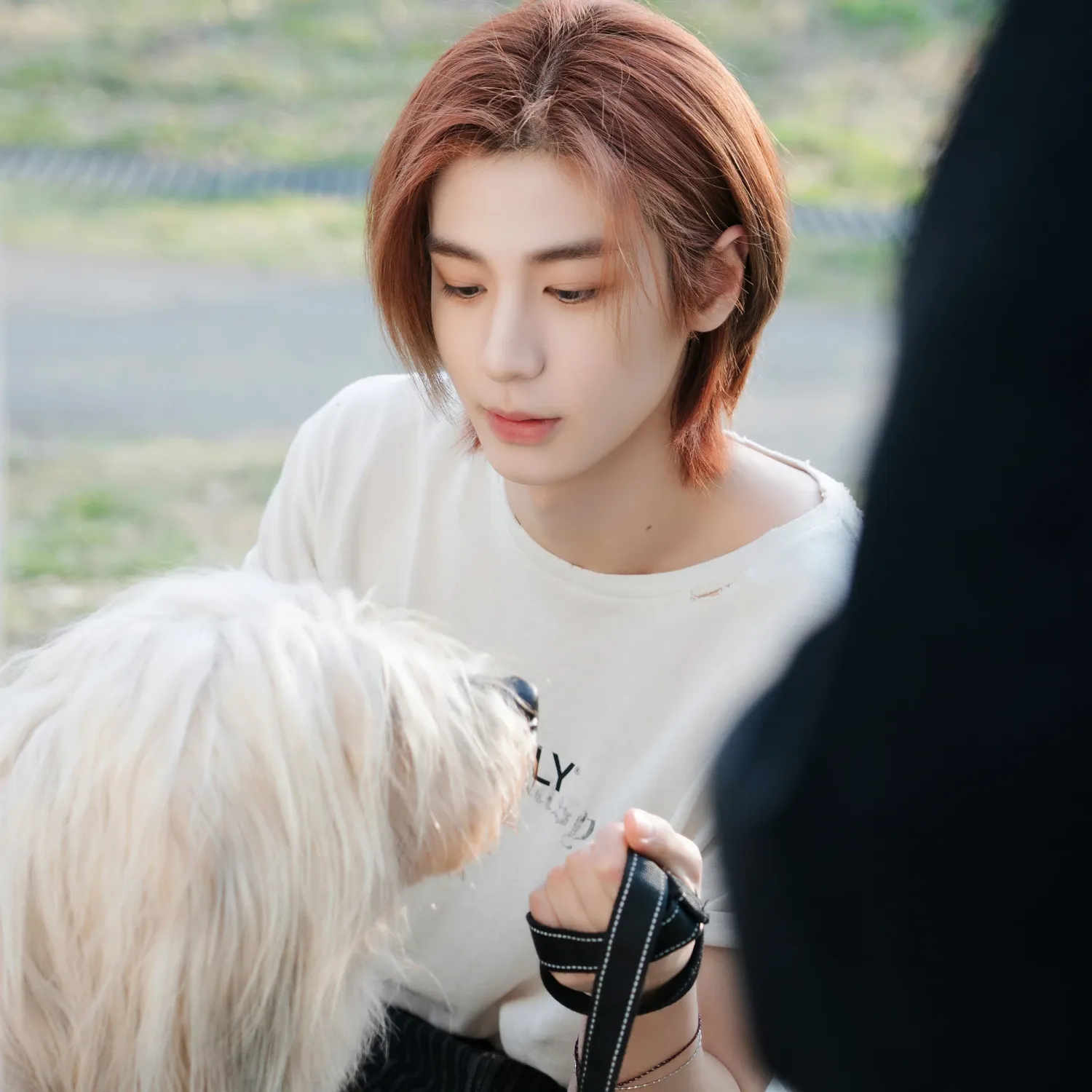 A moment captured by Leehan (BOYNEXTDOOR)'s fan