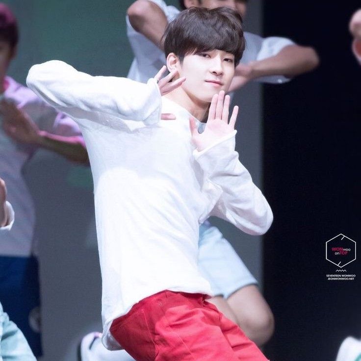 원우 (세븐틴) 최근 활동샷