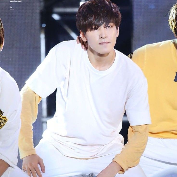 원우 (세븐틴) 팬이 찍은 순간