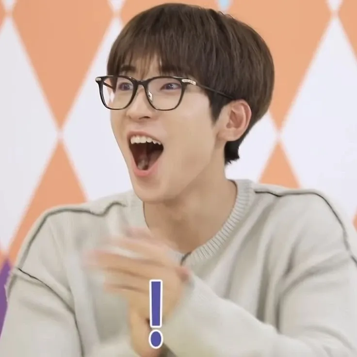 A moment captured by Wonwoo (SEVENTEEN)'s fan
