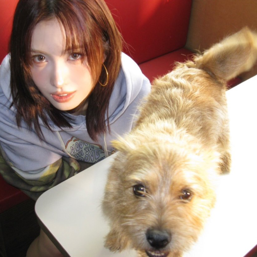 モモ (TWICE)の最新写真