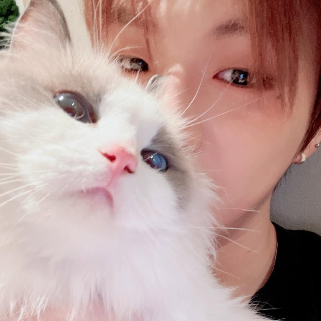 강다니엘의 비하인드 컷
