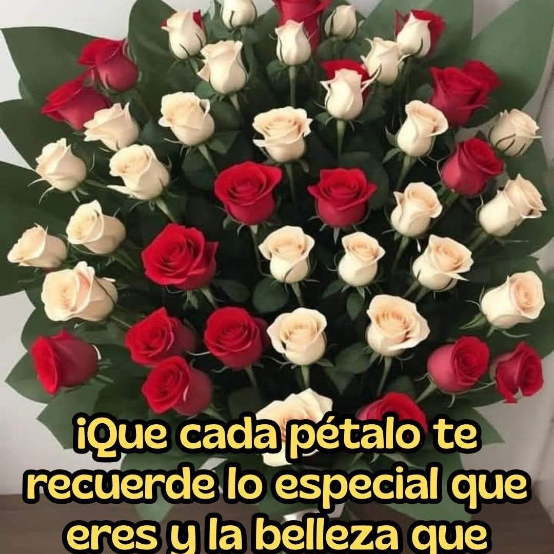 Recent activity shot of Moonbin (ASTRO)