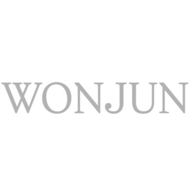 Latest photo of Wonjun (WHIB)