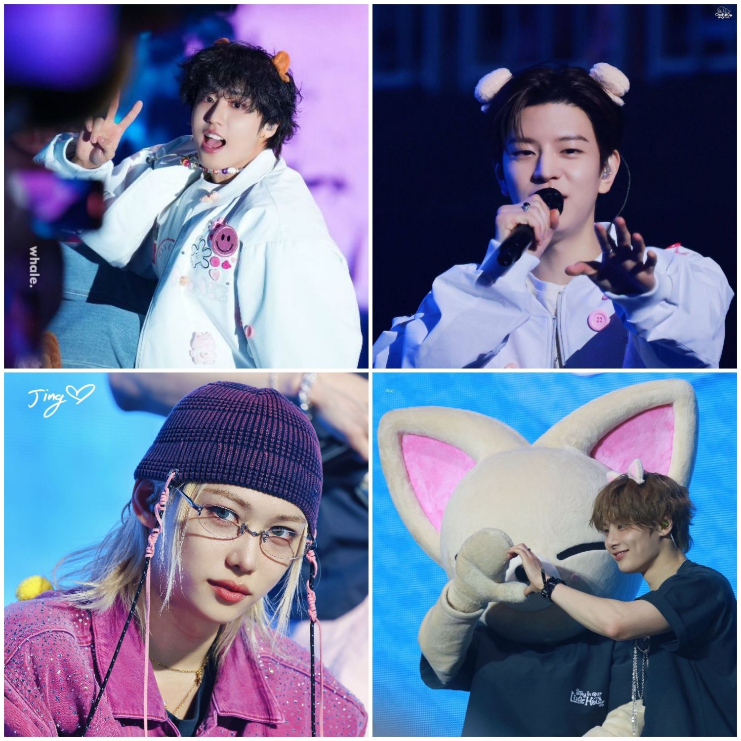 Recent activity shot of Stray Kids