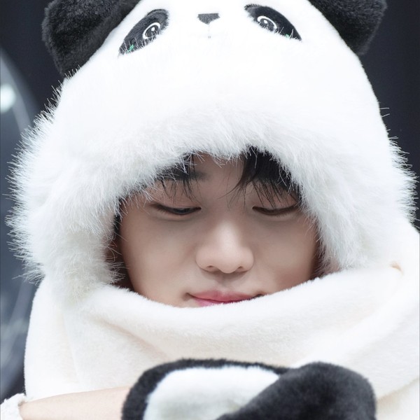 팬들이 사랑하는 재찬 (DKZ)의 인기 프로필 사진