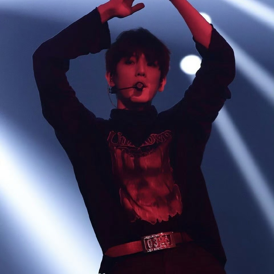 伯賢 (EXO)粉絲拍下的瞬間