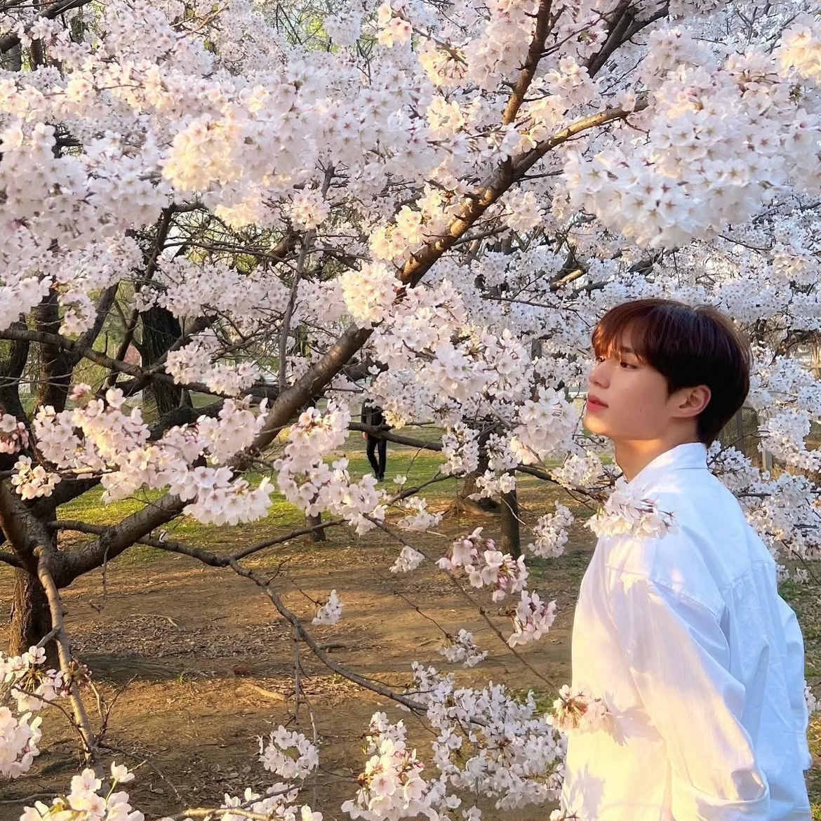 K-POP posts beloved by 자유게시판 fans