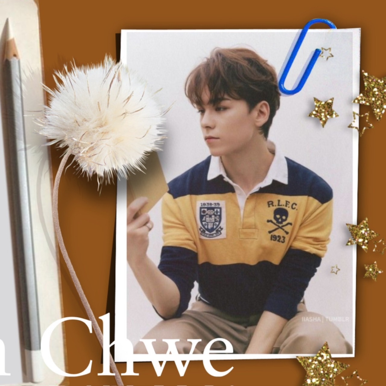 버논 (세븐틴) 팬이 찍은 순간